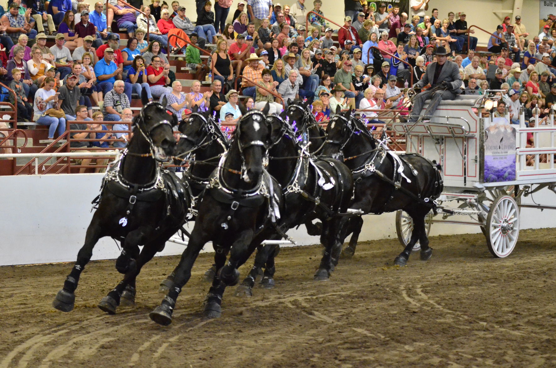 8-25-19 Draft Horse Hitch Final (91).JPG